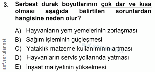 3. soru: Serbest durak boyutlarının çok dar ve kısa olması aşağıda belirtilen sorunlardan hangisine neden olur? A) Hayvanların…