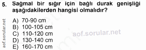 5. soru: Sağmal bir sığır için bağlı durak genişliği aşağıdakilerden hangisi olmalıdır? A) 70-90 cm B) 100-105 cm C) 110-120 c…