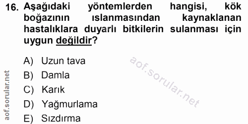 16. soru: Aşağıdaki yöntemlerden hangisi, kök boğazının islanmasından kaynaklanan hastalıklara duyarlı bitkilerin sulanması içi…