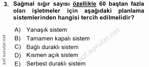 3. soru: Sağmal sığır sayısı özellikle 60 baştan fazla olan işletmeler için aşağıdaki planlama sistemlerinden hangisi tercih e…