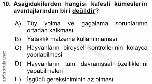 10. soru: Aşağıdakilerden hangisi kafesli kümeslerin avantajlarından biri değildir? A) Tüy yolma ve gagalama sorunlarının ortad…