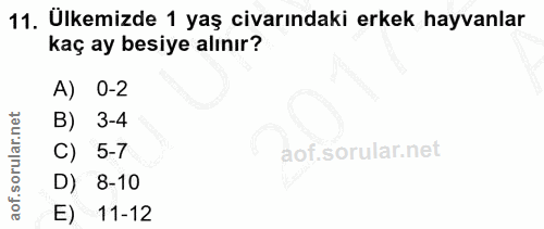 11. soru: Ülkemizde 1 yaş civarındaki erkek hayvanlar kaç ay besiye alınır? A) 0-2 B) 3-4 C) 5-7 D) 8-10 E) 11-12