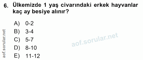 6. soru: Ülkemizde 1 yaş civarındaki erkek hayvanlar kaç ay besiye alınır? A) 0-2 rular.net B) 3-4 C) 5-7 aof.s D) 8-10 E) 11-12