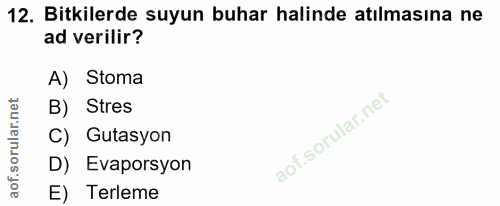 12. soru: Bitkilerde suyun buhar halinde atılmasına ne ad verilir? A) Stoma B) Stres C) Gutasyon D) Evaporsyon E) Terleme