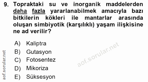 9. soru: Topraktaki su ve inorganik maddelerden daha fazla yararlanabilmek amacıyla bazı bitkilerin kökleri ile mantarlar aras…