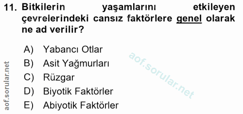 11. soru: Bitkilerin yaşamlarını etkileyen çevrelerindeki cansız faktörlere genel olarak ne ad verilir? A) Yabancı Otlar B) Asi…