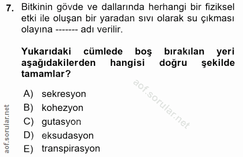 7. soru: Bitkinin gövde ve dallarında herhangi bir fiziksel etki ile oluşan bir yaradan sıvı olarak su çıkması olayına --_ adı…