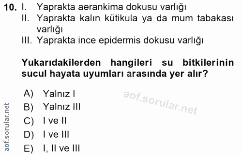 10. soru: I. Yaprakta arankima dokusu varlığı II. Yaprakta kalın kütikula ya da mum tabakası varlıgı III. Yaprakta ince epiderm…
