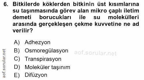 6. soru: Bitkilerde köklerden bitkinin üst kısımlarına su taşınmasında görev alan mikro çaplı iletim demeti borucukları ile l…
