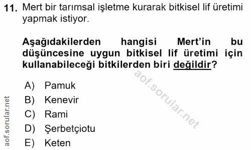 11. soru: Mert bir tarımsal işletme kurarak bitkisel lif üretimi yapmak istiyor. Aşağıdakilerden hangisi Mert'in bu düşüncesine…