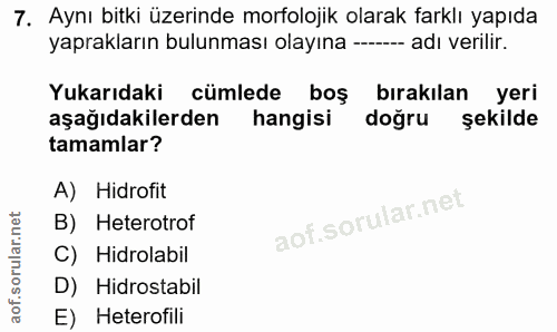 7. soru: Aynı bitki üzerinde morfolojik olarak farklı yapıda yaprakların bulunması olayına --- adı verilir. Yukarıdaki cümlede…