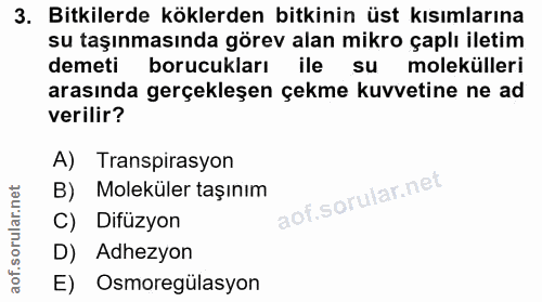 3. soru: Bitkilerde köklerden bitkinin üst kısımlarına su taşınmasında görev alan mikro çaplı iletim demeti borucukları ile su…