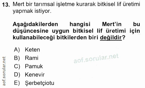 13. soru: Mert bir tarımsal işletme kurarak bitkisel lif üretimi yapmak istiyor. Aşağıdakilerden hangisi Mert'in bu düşüncesine…