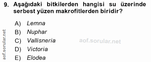 9. soru: Aşağıdaki bitkilerden hangisi su üzerinde serbest yüzen makrofitlerden biridir? A) Lemna B) Nuphar C) Vallisneria D)…