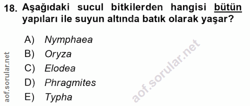 18. soru: Aşağıdaki sucul bitkilerden hangisi bütün yapıları ile suyun altında batık olarak yaşar? A) Nymphaea B) Oryza C) Elod…