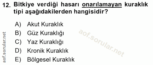 12. soru: Bitkiye verdiği hasarı onarılamayan kuraklık tipi aşağıdakilerden hangisidir? Akut Kuraklık B) Güz Kuraklığı C) Yaz K…