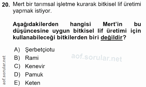 20. soru: Mert bir tarımsal işletme kurarak bitkisel lif üretimi yapmak istiyor. Aşağıdakilerden hangisi Mert'in bu düşüncesine…