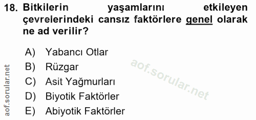 18. soru: Bitkilerin yaşamlarını etkileyen çevrelerindeki cansız faktörlere genel olarak ne ad verilir? A) Yabancı Otlar B) Rüz…