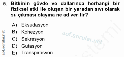 5. soru: Bitkinin gövde ve dallarında herhangi bir fiziksel etki ile oluşan bir yaradan sıvı olarak su çıkması olayına ne ad v…