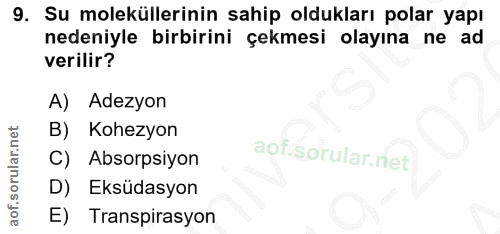 9. soru: Su moleküllerinin sahip oldukları polar yapı nedeniyle birbirini çekmesi olayına ne ad verilir? A) Adezyon B) Kohezyo…