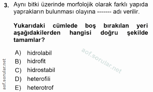 3. soru: Aynı bitki üzerinde morfolojik olarak farklı yapıda yaprakların bulunması olayına -- adı verilir. Yukarıdaki cümlede…