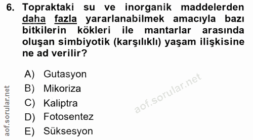6. soru: Topraktaki su ve inorganik maddelerden daha fazla yararlanabilmek amacıyla bazı bitkilerin kökleri ile mantarlar aras…
