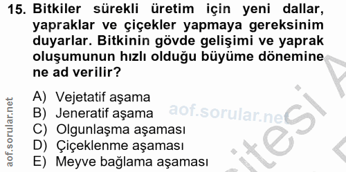 15. soru: Bitkiler sürekli üretim için yeni dallar, yapraklar ve çiçekler yapmaya gereksinim duyarlar. Bitkinin gövde gelişimi…