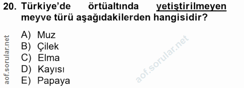 20. soru: Türkiye'de örtüaltında yetiştirilmeyen meyve türü aşağıdakilerden hangisidir? A) Muz B) Çilek C) Elma D) Kayısı E) Pa…