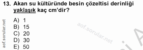 13. soru: Akan su kültüründe besin çözeltisi derinliği yaklaşık kaç cm'dir? A) 1 B) 15 C) 20 D) 30 E) 50