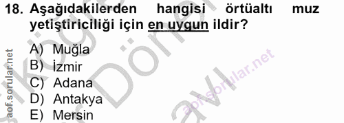18. soru: Aşağıdakilerden hangisi örtüaltı muz yetiştiriciliği için en uygun ildir? A) Mugla B) İzmir rular.net C) Adana D) Ant…