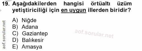 19. soru: Aşağıdakilerden hangisi Örtüaltı üzüm yetiştiriciliği için en uygun illerden biridir? A) Niğde B) Adana C) Gaziantep…
