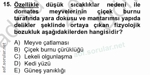 15. soru: Özellikle düşük sıcaklıklar nedeni ile domates meyvelerinin çiçek burnu tarafında yara dokusu ve mantarımsı yapıda de…