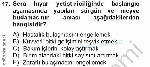 17. soru: Sera hıyar yetiştiriciliğinde başlangıç aşamasında yapılan sürgün ve meyve budamasının amaci aşağıdakilerden hangisid…