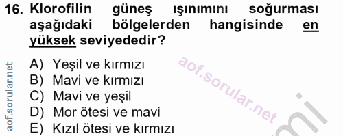 16. soru: Klorofilin güneş ışınımını soğurması aşağıdaki bölgelerden hangisinde en yüksek seviyededir? A) Yeşil ve kırmızı B) M…