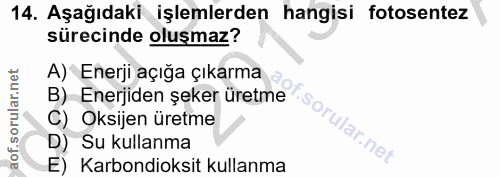 14. soru: Aşağıdaki işlemlerden hangisi fotosentez sürecinde oluşmaz? A) Enerji açığa çıkarma B) Enerjiden şeker üretme C) Oksi…