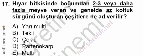 17. soru: Hıyar bitkisinde boğumdan 2-3 veya daha fazla_meyve veren ve genelde az koltuk sürgünü oluşturan çeşitlere ne ad veri…