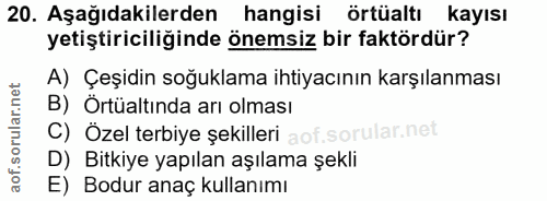 20. soru: Aşağıdakilerden hangisi örtüaltı kayısı yetiştiriciliğinde önemsiz bir faktördür? A) Çeşidin soğuklama ihtiyacının ka…