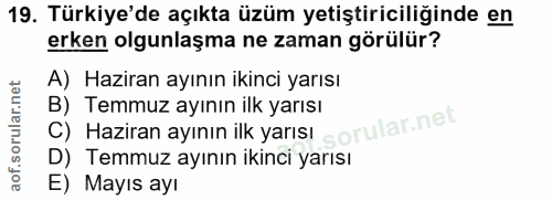 19. soru: Türkiye'de açıkta üzüm yetiştiriciliğinde en erken olgunlaşma ne zaman görülür? A) Haziran ayının ikinci yarısı B) Te…