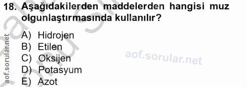 18. soru: Aşağıdakilerden maddelerden hangisi muz olgunlaştırmasında kullanılır? A) Hidrojen B) Etilen C) Oksijen D) Potasyum E…