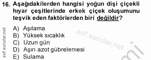16. soru: Aşağıdakilerden hangisi yoğun dişi çiçekli hıyar çeşitlerinde erkek çiçek oluşumunu teşvik eden faktörlerden biri değ…