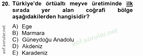 20. soru: Türkiye'de örtüaltı meyve üretiminde ilk sırada yer alan coğrafi bölge aşağıdakilerden hangisidir? A) Ege C) Guneydog…