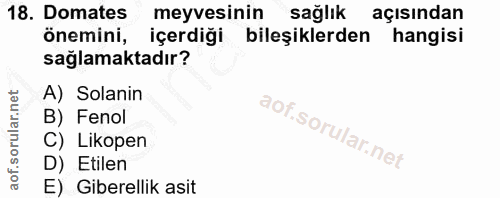 18. soru: Domates meyvesinin sağlık açısından önemini, içerdiği bileşiklerden hangisi sağlamaktadır? A) Solanin B) Fenol C) Lik…
