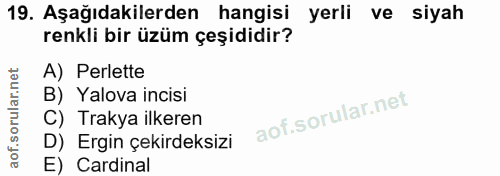 19. soru: Aşağıdakilerden hangisi yerli ve siyah renkli bir üzüm çeşididir? A) Perlette B) Yalova incisi C) Trakya ilkeren D) E…