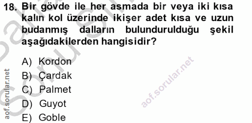 18. soru: Bir gövde ile her asmada bir veya iki kısa kalın kol üzerinde ikişer adet kısa ve uzun budanmış dalların bulunduruldu…