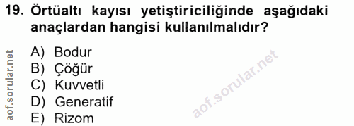 19. soru: Örtüaltı kayısı yetiştiriciliğinde aşağıdaki anaçlardan hangisi kullanılmalıdır? A) Bodur B) Çöğür C) Kuvvetli aof.so…