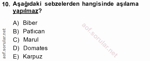 10. soru: Aşağıdaki sebzelerden hangisinde aşılama yapılmaz? A) Biber B) Patlıcan C) Marul D) Domates E) Karpuz