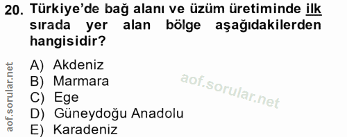 20. soru: Türkiye'de bağ alanı ve üzüm üretiminde ilk sırada yer alan bölge aşağıdakilerden hangisidir? A) Akdeniz B) Marmara C…