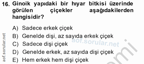 16. soru: Ginoik yapıdaki bir hıyar bitkisi üzerinde görülen çiçekler aşağıdakilerden hangisidir? A) Sadece erkek çiçek B) Gene…