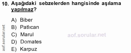 10. soru: Aşağıdaki sebzelerden hangisinde aşılama yapılmaz? A) Biber B) Patlıcan C) Marul D) Domates E) Karpuz