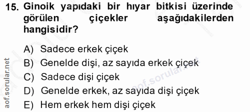 15. soru: Ginoik yapıdaki bir hıyar bitkisi üzerinde görülen çiçekler aşağıdakilerden hangisidir? A) Sadece erkek çiçek B) Gene…